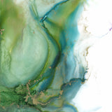 Peacock - Fine Art Print